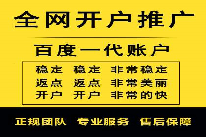 百度竞价推广在电商领域的赚钱案例